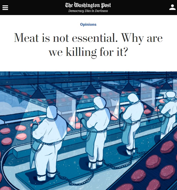 ESSAY: Jonathan Safran Foer,
