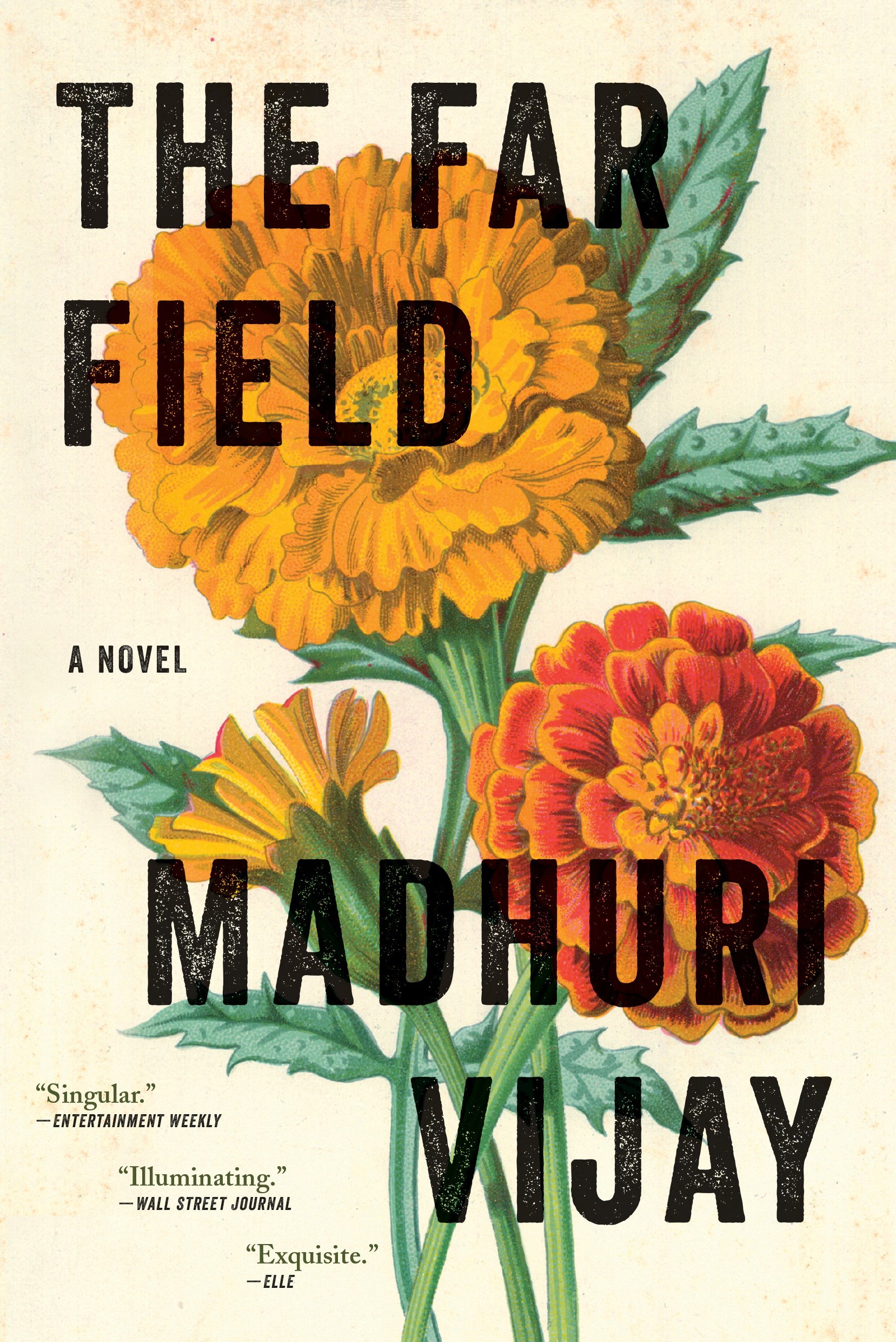 BOOK: Madhuri Vijay, The Far Field