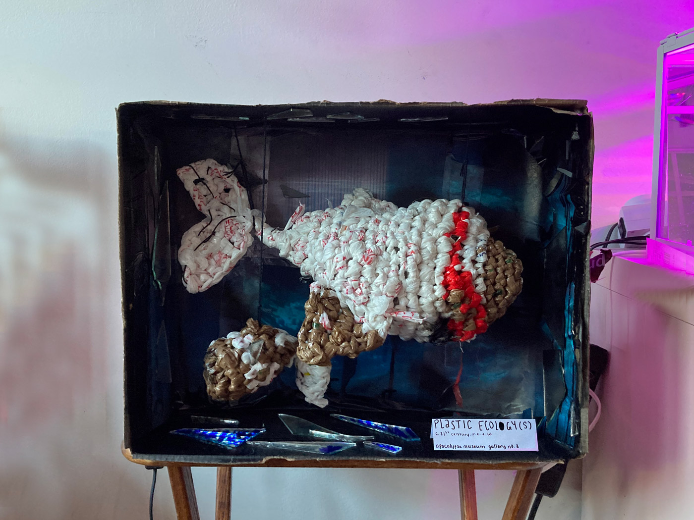 photo of a sculptural artwork featuring a fish made of plastic inside a painted box