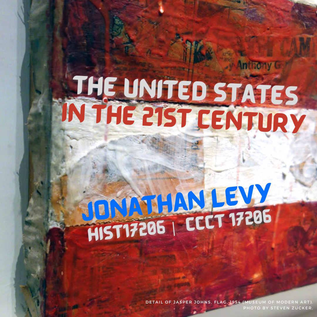 Detail of Jasper Johns's 1954 Flag painting. Poster for The United States in the 21st Century.